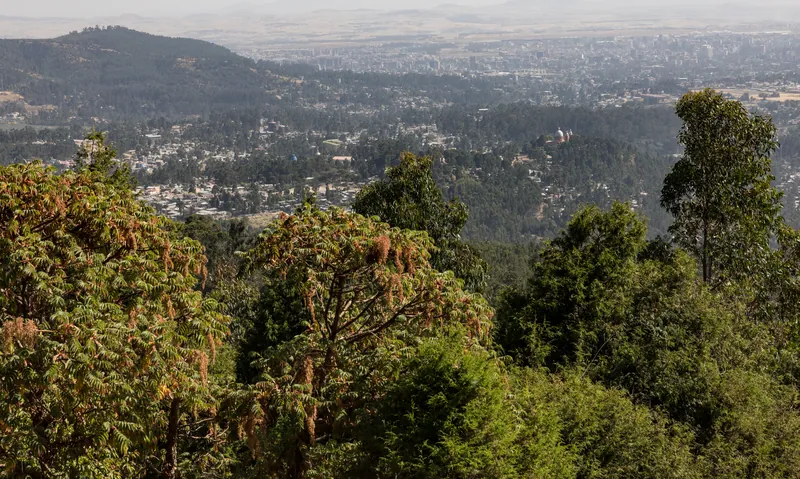 Addis Ababa seen from the forested slopes of Mount Entoto on an Addis Ababa layover tour